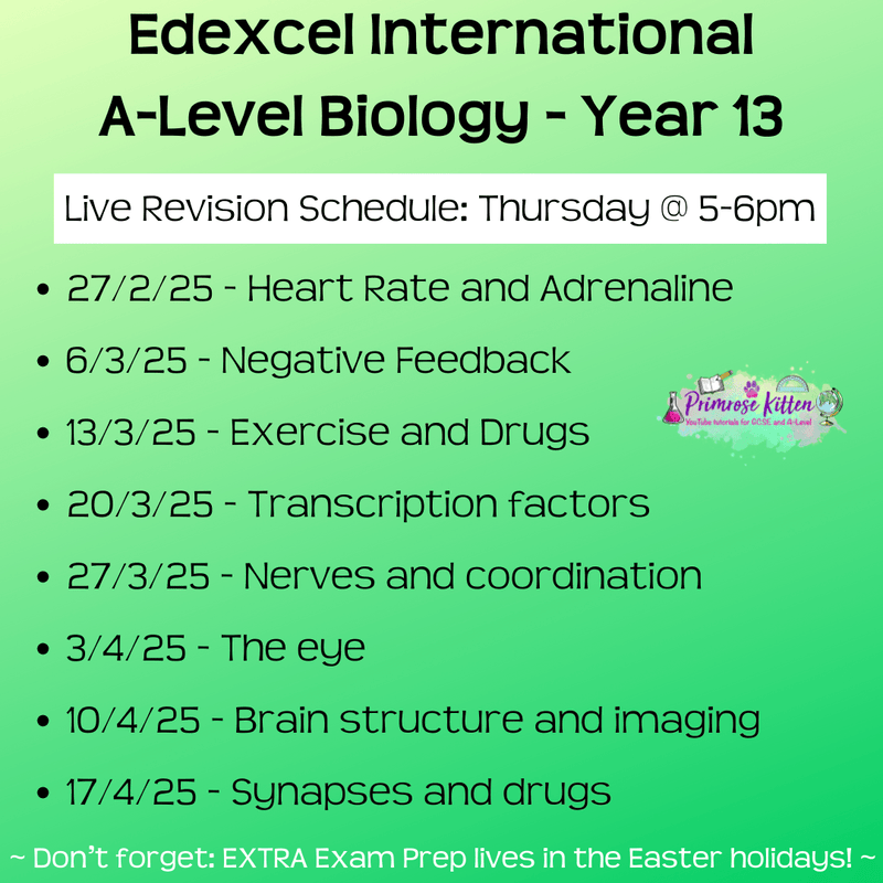 Edexcel International A - Level Biology Exam Masterclass - Primrose Kitten