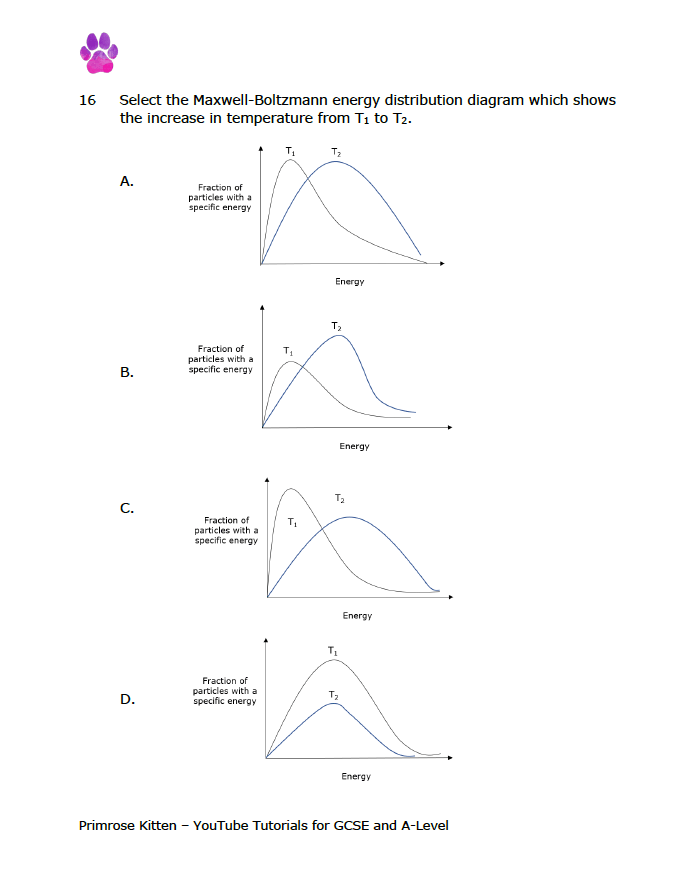 International A-Level Chemistry Predicted Papers - Primrose Kitten