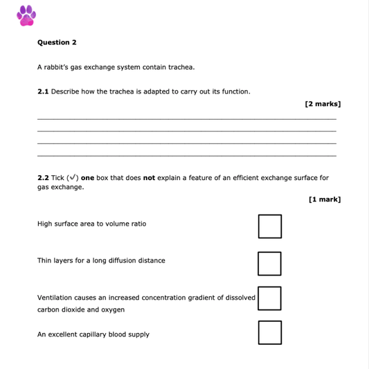 A-Level Biology Predicted Papers - Primrose Kitten
