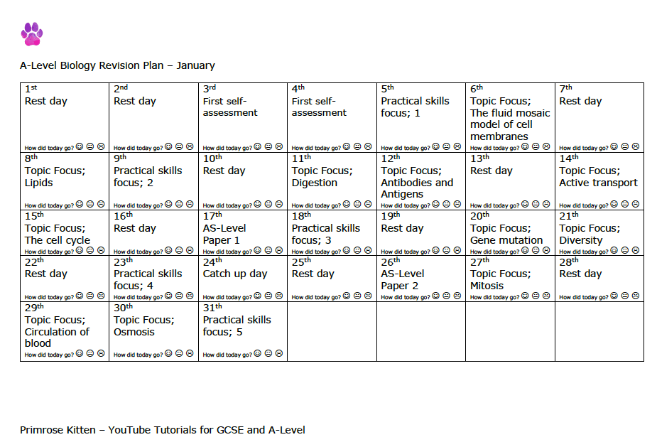 A-Level Biology | Revision plan - Primrose Kitten