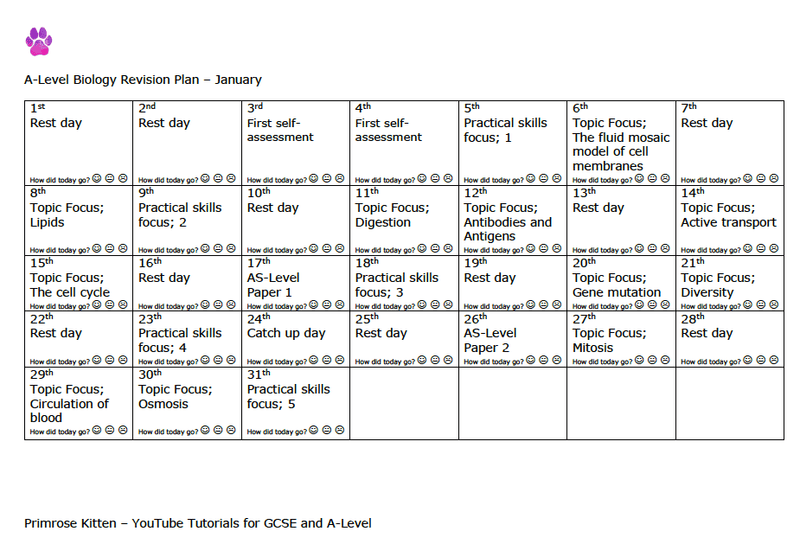 A-Level Biology revision plan