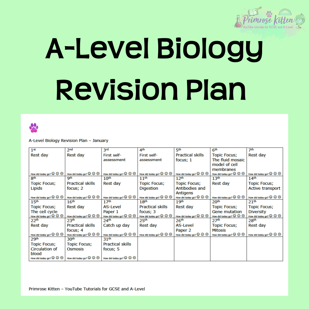 A-Level Biology | Revision plan - Primrose Kitten