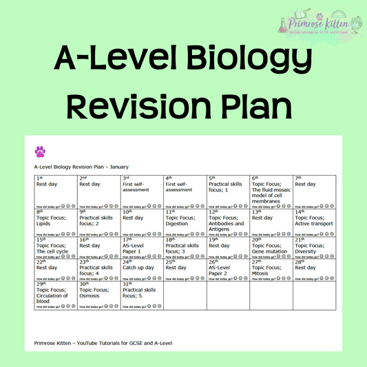 A-Level Biology | Revision plan - Primrose Kitten