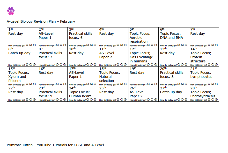 A-Level Biology | Revision plan - Primrose Kitten