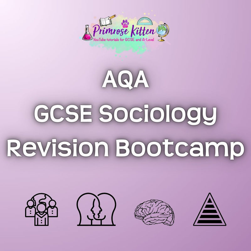 AQA GCSE Sociology Revision Bootcamp - Primrose Kitten